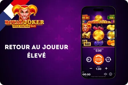 Fonctions RTP et équité dans la machine à sous Royal Joker